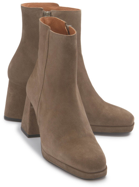 Ankle boot in plus sizes : 2011-24